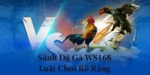 Những Lưu Ý Để Chơi Đá Gà WS168 Tại SunWin Luôn Luôn Giành Chiến Thắng