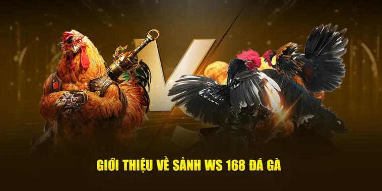 Những Lưu Ý Để Chơi Đá Gà WS168 Tại SunWin Luôn Luôn Giành Chiến Thắng